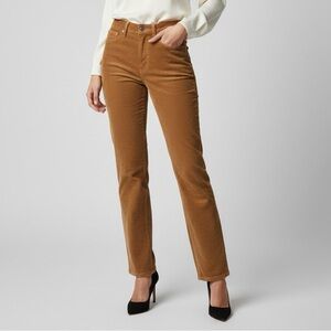 Aritzia Denim Forum The Joni High-Rise Loose Corduroy Pants - Size 27 (30L)